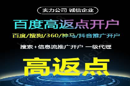竞价广告的创意与执行：一则经典案例剖析
